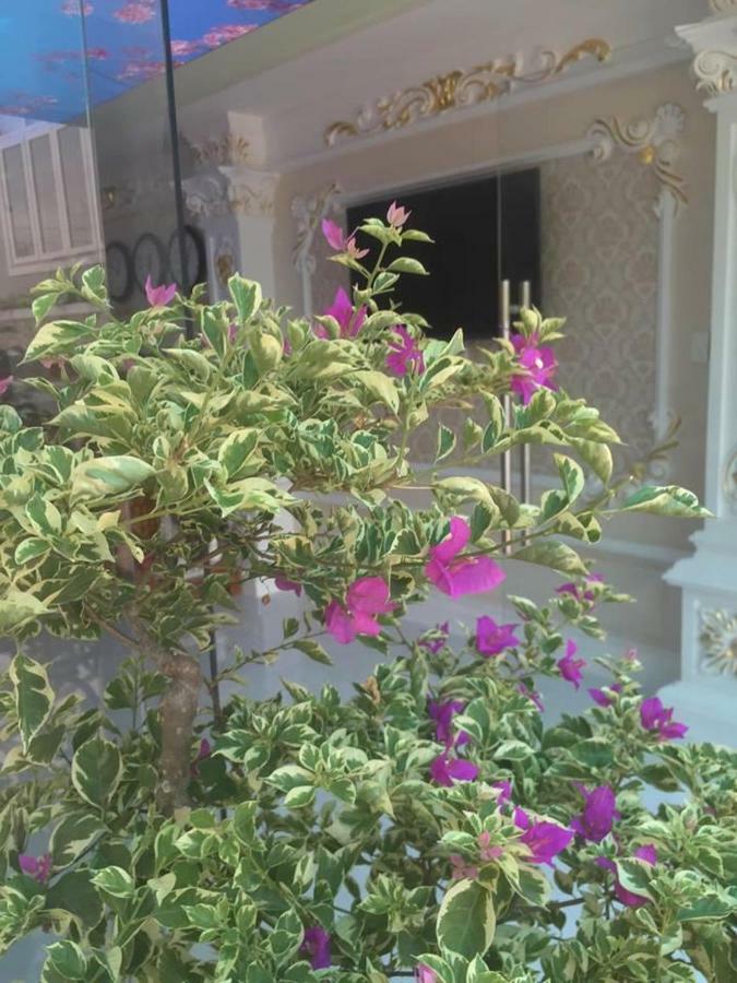 Sa Dec Hotel My Anh מראה חיצוני תמונה